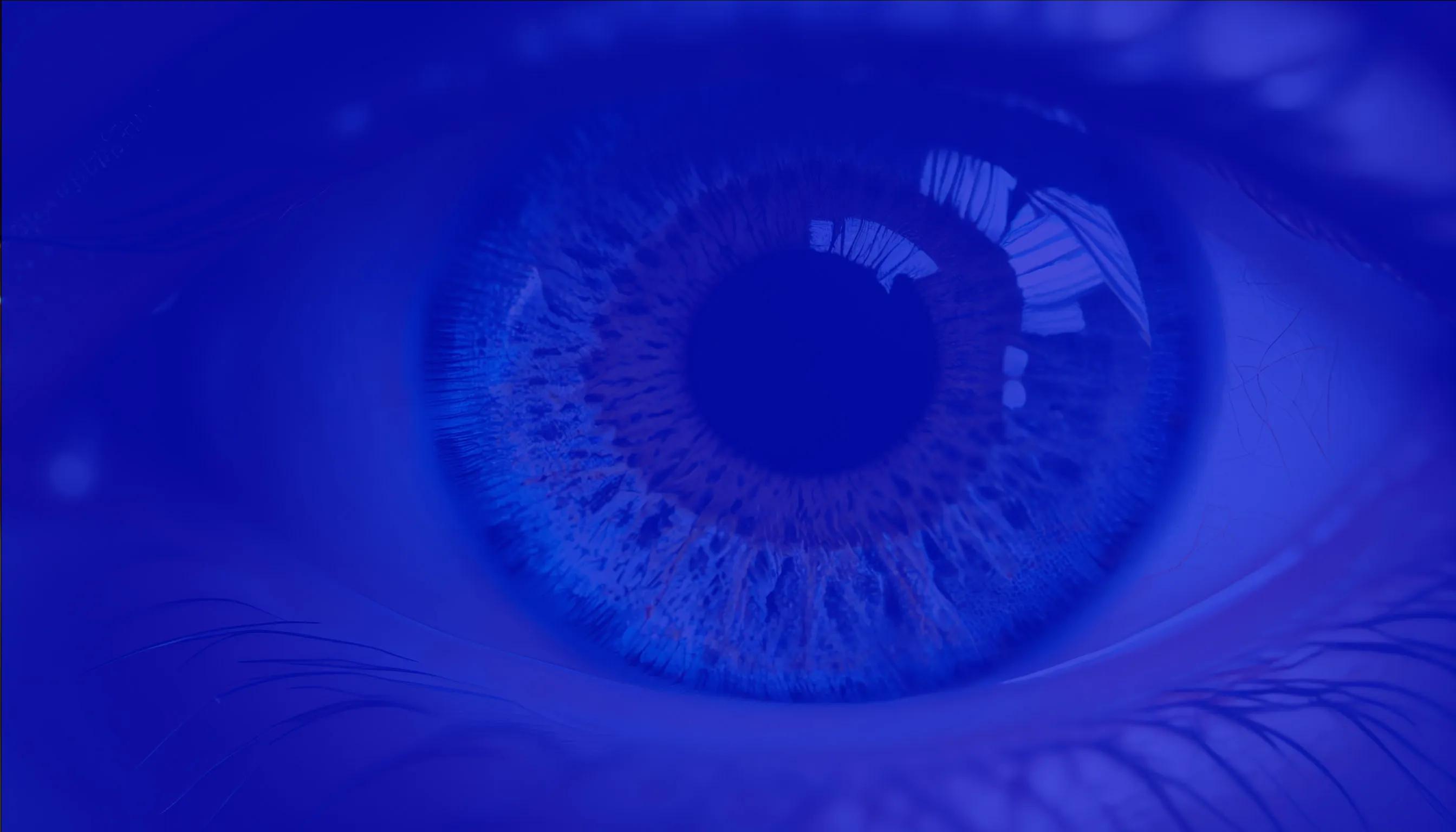 Retine Optivision